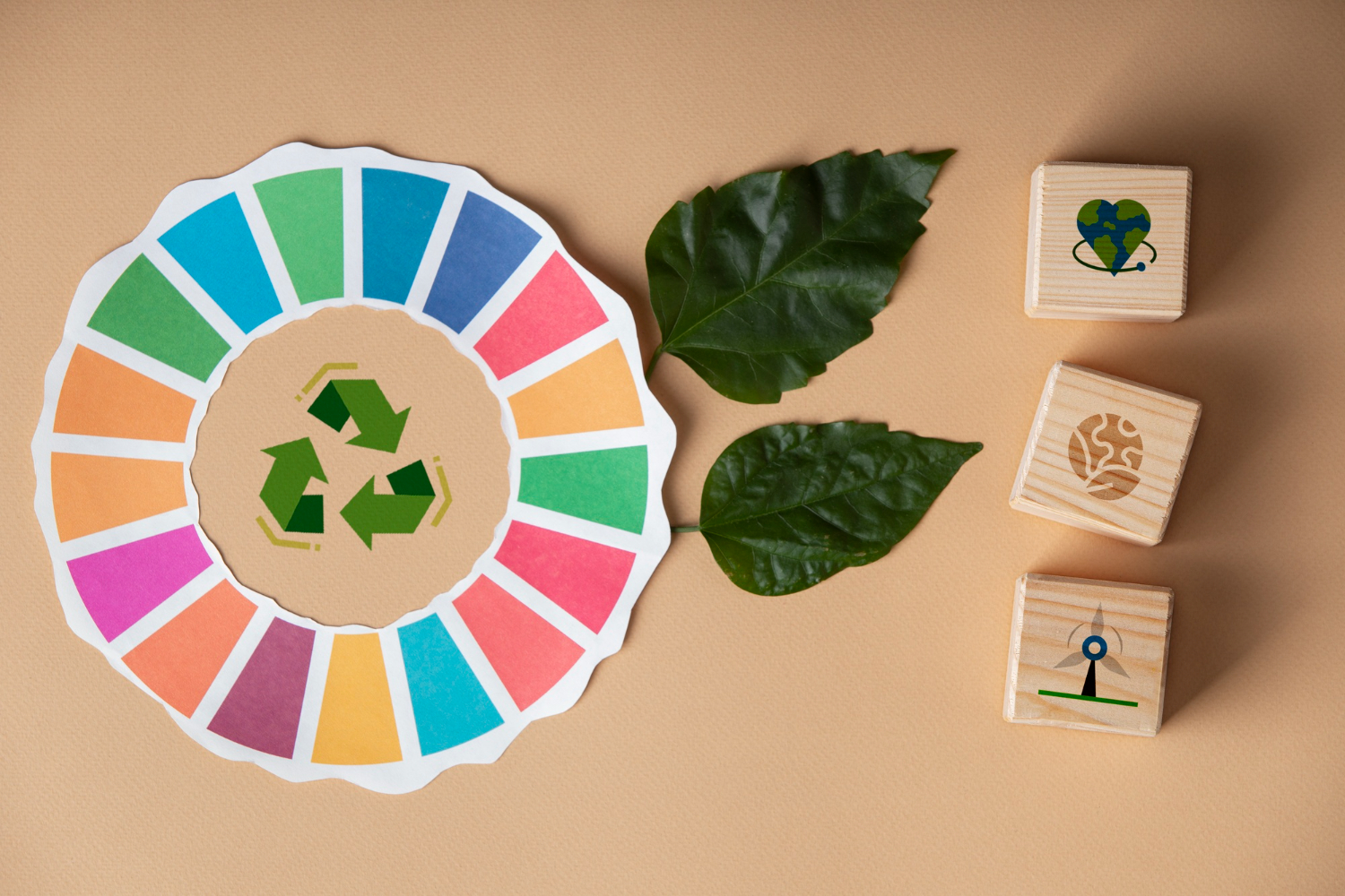 Compreendendo e Apoiando os Objetivos de Desenvolvimento Sustentável (ODS)