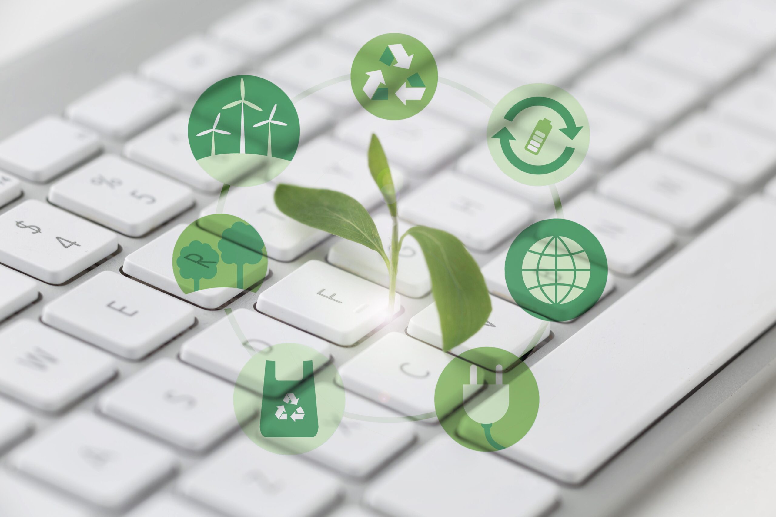 Software para Empresas de Reciclagem